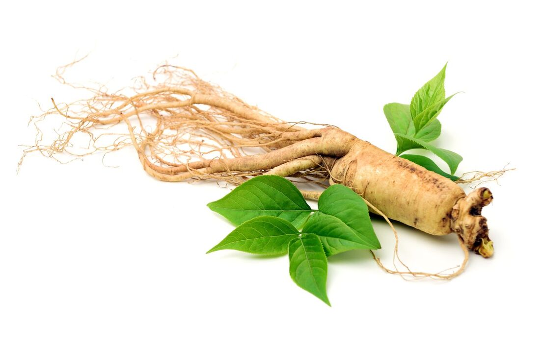 ginseng korenina v kapsulah PulsEro